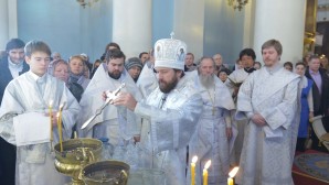 Митрополит Иларион: Господь Своей обо́женной человеческой плотью освятил иорданские воды