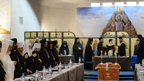 Synaxis of Primates of Local Orthodox Churches begins its work