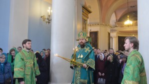 Митрополит Иларион: Праздник Входа Господня в Иерусалим вводит нас в великие дни страданий Спасителя