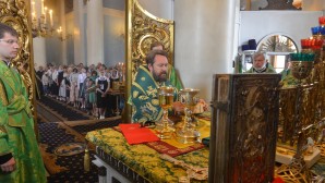 Митрополит Иларион: С праздника Пятидесятницы началась жизнь Церкви, которая продолжается до наших дней и будет продолжаться до скончания века